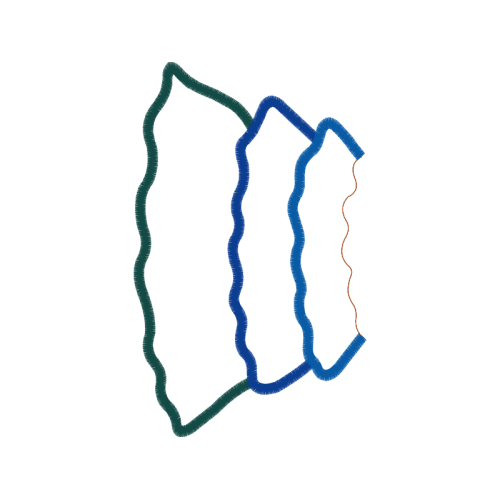 Blue Other Blue Other