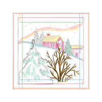 Blue Spruce Other Blue Spruce Other