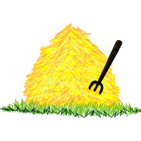 Blue Spruce Other Blue Spruce Other