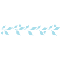 Bm Raminhos13 Other Bm Raminhos13 Other