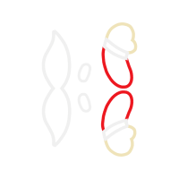 Body Piercing Jewelry Other Body Piercing Jewelry Other