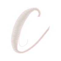 Body Piercing Jewelry Other