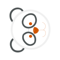 Body Piercing Jewelry Other Body Piercing Jewelry Other