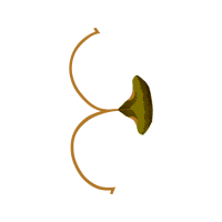 Body Piercing Jewelry Other Body Piercing Jewelry Other