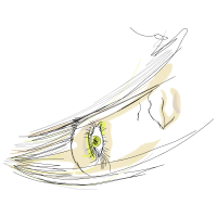 Body Piercing Jewelry Other Body Piercing Jewelry Other