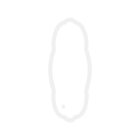 Body Piercing Jewelry Other Body Piercing Jewelry Other