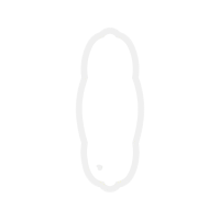 Body Piercing Jewelry Other Body Piercing Jewelry Other