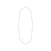 Body Piercing Jewelry Other Body Piercing Jewelry Other