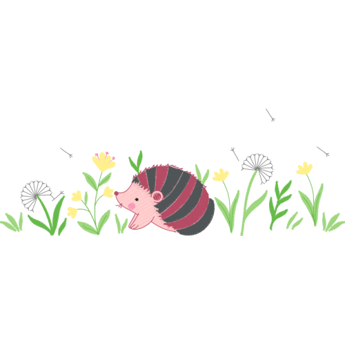 Burnt Tip Orchid Other