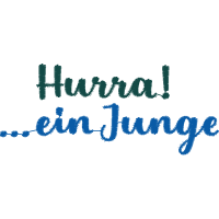 Calligraphy Other Calligraphy Other