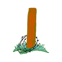 Calligraphy Other Calligraphy Other