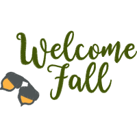 Calligraphy Other Calligraphy Other