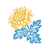 Chrysanthemum Other