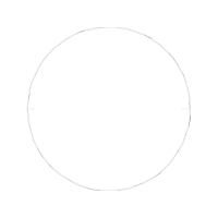 Circle Other