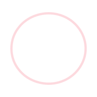 Circle Other