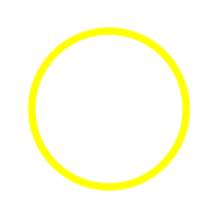 Circle Other