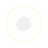 Circle Other