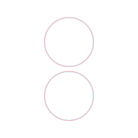 Circle Other