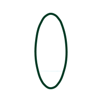 Circle Other