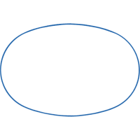 Circle Other
