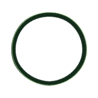 Circle Other