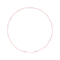 Circle Other