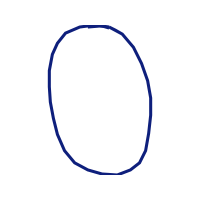 Circle Other