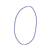 Circle Other
