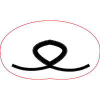 Circle Other