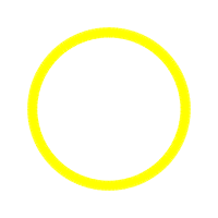 Circle Other