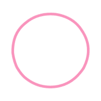 Circle Other