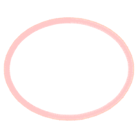 Circle Other