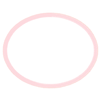 Circle Other