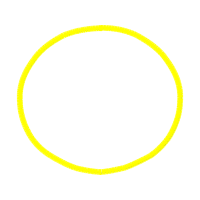 Circle Other