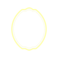Circle Other