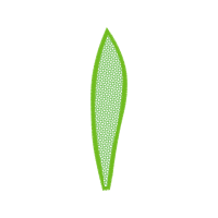 Classy Creations Other