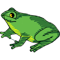 Colorado River Toad Other