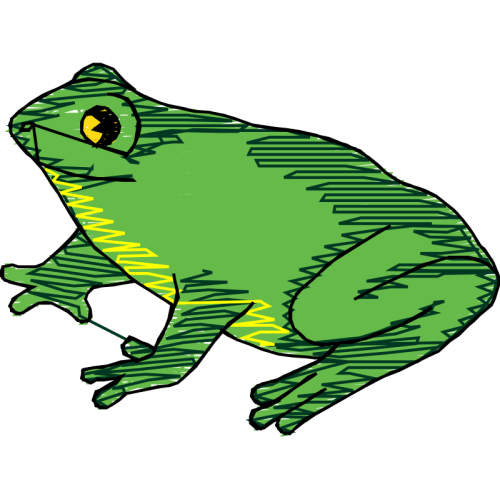 Colorado River Toad Other