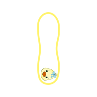 Colubrid Snakes Other