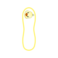 Colubrid Snakes Other