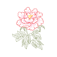 Common Peony Other