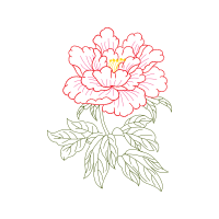 Common Peony Other