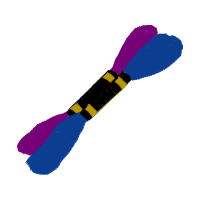 Cosmetics M Gro Io Namai Other