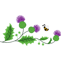 Creeping Thistle Other