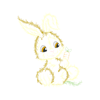 Domestic Rabbit Other