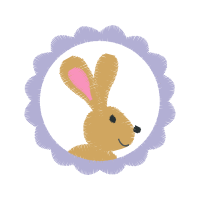 Domestic Rabbit Other