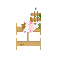 Domestic Rabbit Other