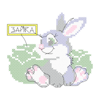 Domestic Rabbit Other