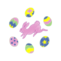 Domestic Rabbit Other