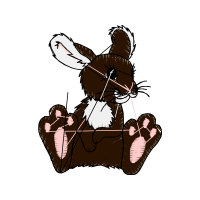 Domestic Rabbit Other